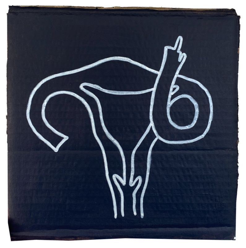 (Vulva Illustration)